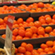 Dave’s Supermarket